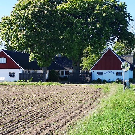 Knappagarden Glemminge Dış mekan fotoğraf